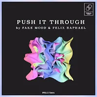 Fake Mood — Push It Through Ft Felix Raphael — обложка